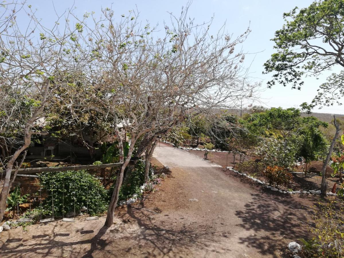 פוארטו בקריסו מורנו Cucuve Eco Hostal מראה חיצוני תמונה