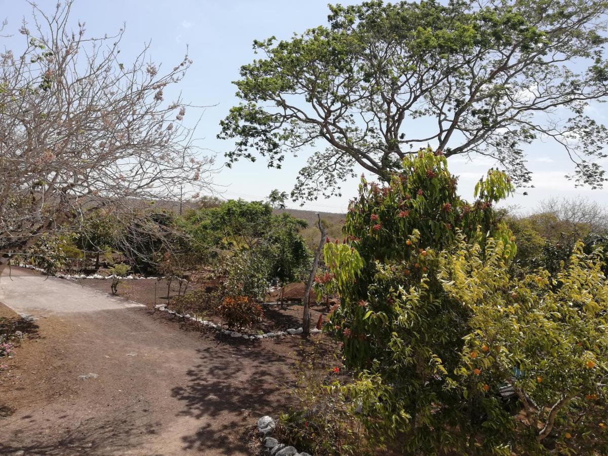 פוארטו בקריסו מורנו Cucuve Eco Hostal מראה חיצוני תמונה
