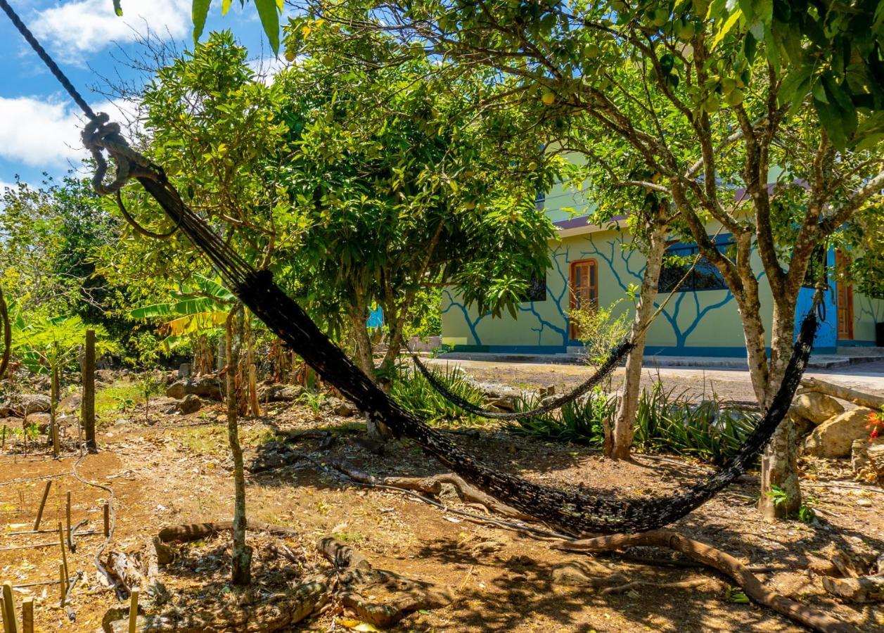 פוארטו בקריסו מורנו Cucuve Eco Hostal מראה חיצוני תמונה