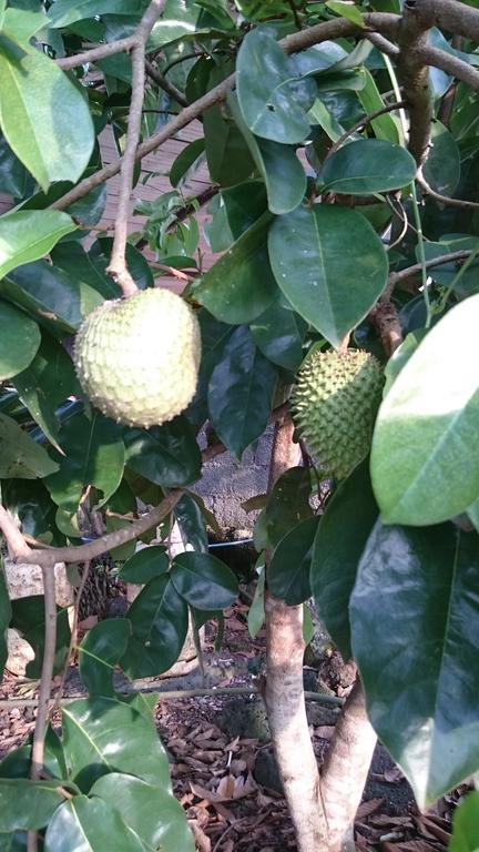 פוארטו בקריסו מורנו Cucuve Eco Hostal מראה חיצוני תמונה