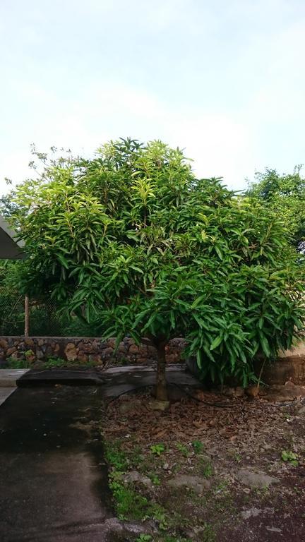 פוארטו בקריסו מורנו Cucuve Eco Hostal מראה חיצוני תמונה