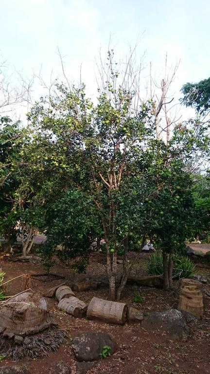 פוארטו בקריסו מורנו Cucuve Eco Hostal מראה חיצוני תמונה