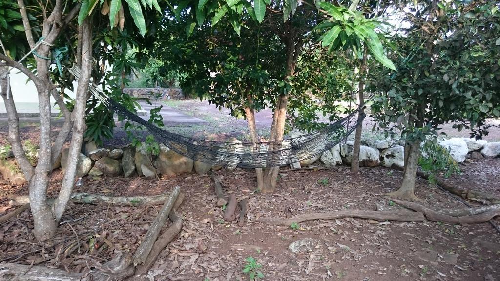 פוארטו בקריסו מורנו Cucuve Eco Hostal מראה חיצוני תמונה