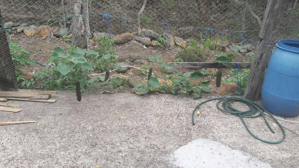 פוארטו בקריסו מורנו Cucuve Eco Hostal מראה חיצוני תמונה